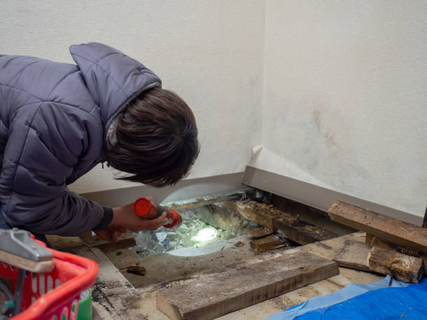 Best Mold Prevention Services  in Ruidoso, NM